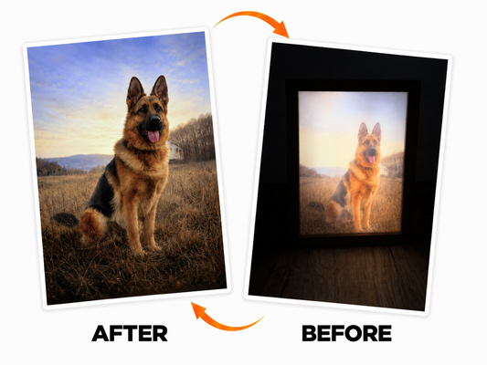 CUSTOM PET LED FRAME