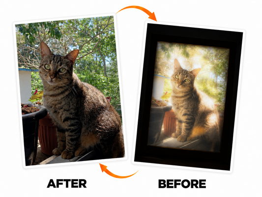 CUSTOM PET LED FRAME 1