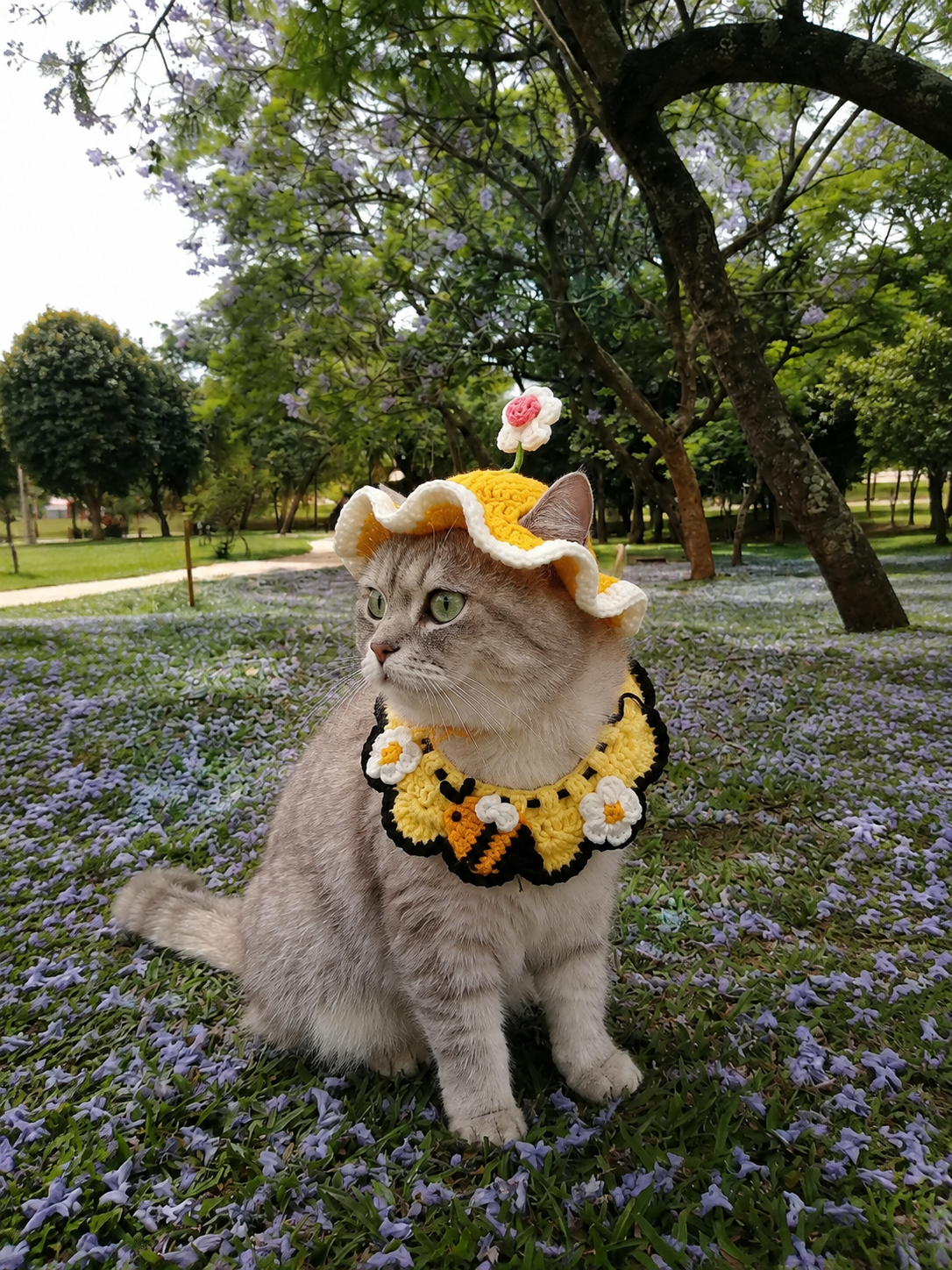 Spring Love