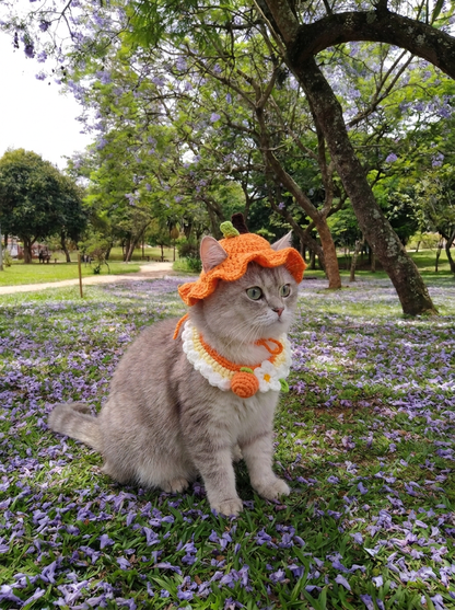 Kitty Hat