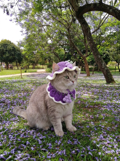 Kitty Hat